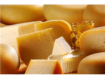 認真的嗎？英國欲以奶酪制燃氣