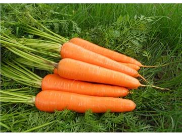 英國不只是吃肉，還吃哪些常見蔬菜