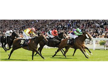 英國的奇葩運動項目，你知道幾個