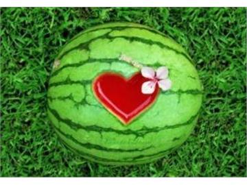 前輩們的英國留學體驗，分享給大家