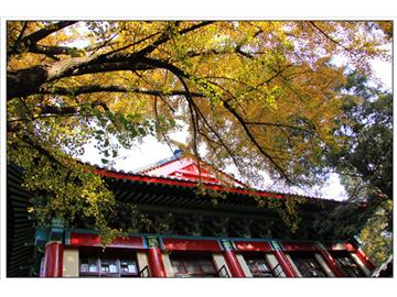 南師大英國留學，哪家機構比較好