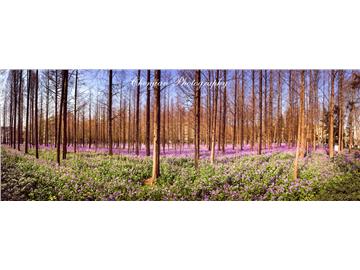 南理工到英國留學，哪些大學比較熱門