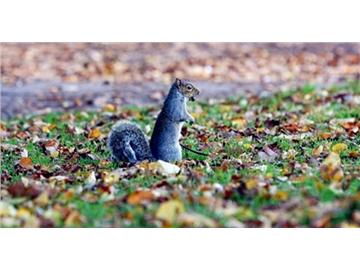 英國秋冬必去景點，看后你也會心動的