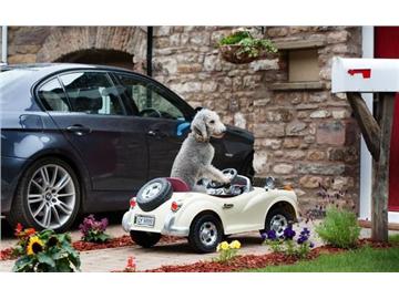 想要和英國人愉快的玩耍，這些必須要知道