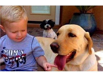 英國人的生活習俗，你還是了解點比較好