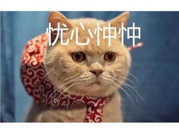 2018英國留學必須要提到的上海留學中介機構排名