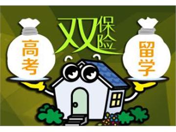 高考+留學，這樣做才是雙保險！