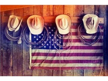 雙非本科申請英國研究生，名校申請難么？