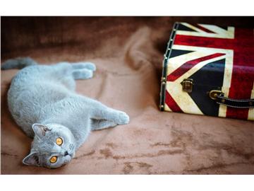 高中生申請英國留學要準備哪些材料，什么時候申請比較恰當？