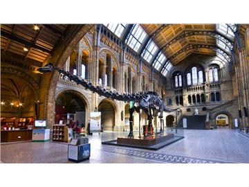 本科英語專業去英國留學可申請哪些專業？優越教育成功案例分享！