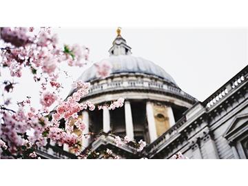 【南京出國留學機構】帝國理工大學本科和研究生申請條件是什么？