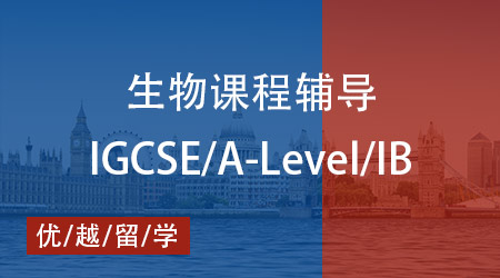 【生物】一文吃透IB/AP/A-Level 生物考試，優越教育助你登頂高分榜