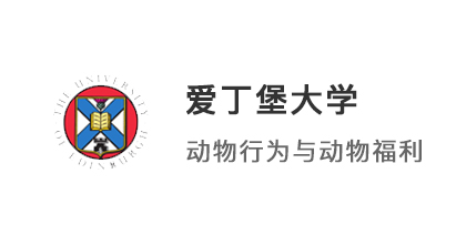 【碩士案例】雙非均分81冷門專業，考研后逆襲愛丁堡大學、KCL！