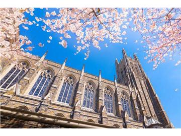 美國留學，GPA成績不夠可以通過哪些來彌補？