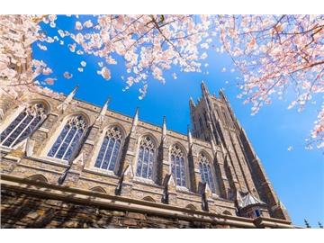  熱門大學之杜克大學，本科申請要求有哪些