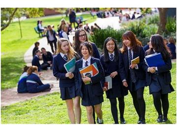 花4萬元逛了美國10所大學 游學項目是否名副其實？